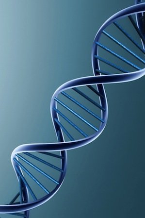 Disgenesia: ¿la especie humana se extinguirá porque permitimos la expansión de ADN “indeseable”?