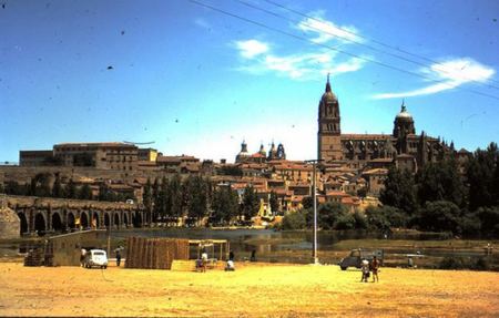 Valladolid anima a "disfrutar, pasear y descubrir" el comercio de próximidad