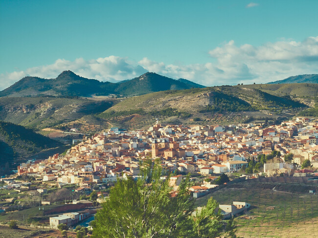 Elche Sierra Albacete