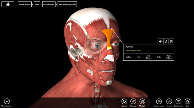 essential anatomy 3 windows 8