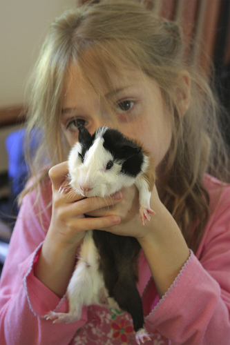 Los niños con autismo mejoran sus comportamientos sociales en presencia de animales