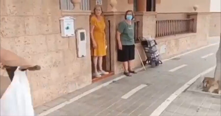 Le ponen un carril bici en la puerta de su casa y la solución para que pueda salir es... ¡un paso de peatones!