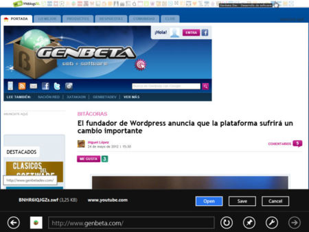 Flash podría estar integrado en Internet Explorer 10
