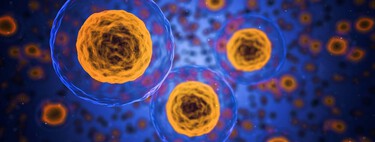 Zombie cells are behind aging: this is how scientists aim to eliminate them 