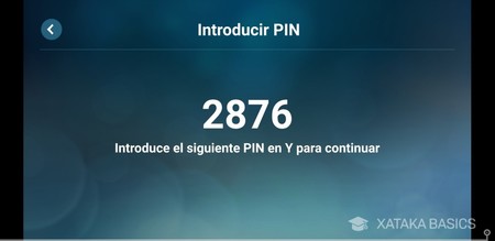 Introducir Pin