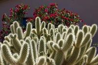 Cautelas antes de comprar cualquier negocio