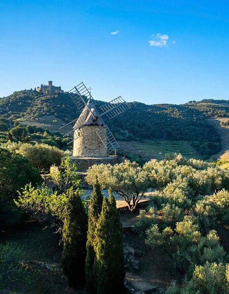Le Moulin A Huile Collioure