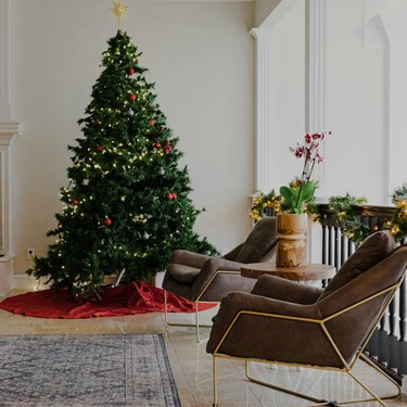 Ya en Lidl la planta que es la alternativa a la flor de Pascua:  florece durante semanas y atrae energía positiva