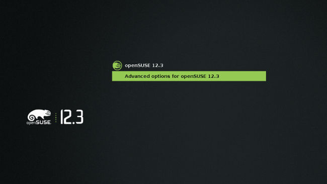 OpenSUSE 12.3