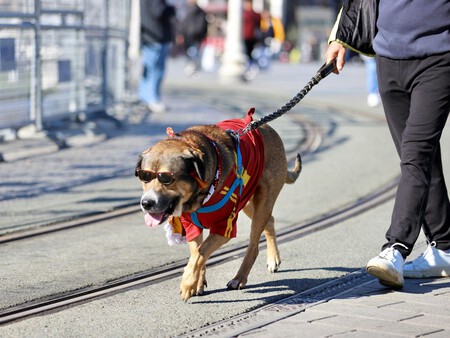 Post De Facebook Frase Acuarela Azul 1200 X 900 Px 1