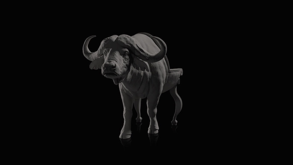 The Animal Chair Collection