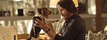 "Keanu Reeves nos apoyó". Los directores de 'John Wick' explican cómo consiguieron matar al perrete pese a la reticencia de unos inversores horrorizados con la idea