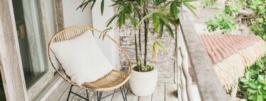 Cómo librarnos de mosquitos y moscas en la terraza, patio o balcón sin usar insecticidas: estas son las mejores alternativas