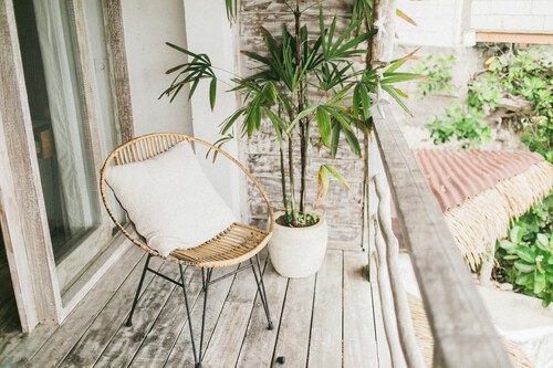 Cómo librarnos de mosquitos y moscas en la terraza, patio o balcón sin usar insecticidas: estas son las mejores alternativas