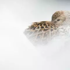 Foto 6 de 6 de la galería de-15-a-17-anos en Xataka Foto