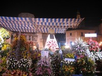 Valencia en Fallas: la Ofrenda a la Virgen