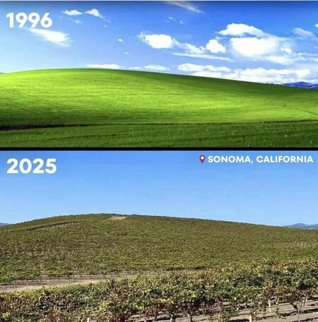 Evolucion