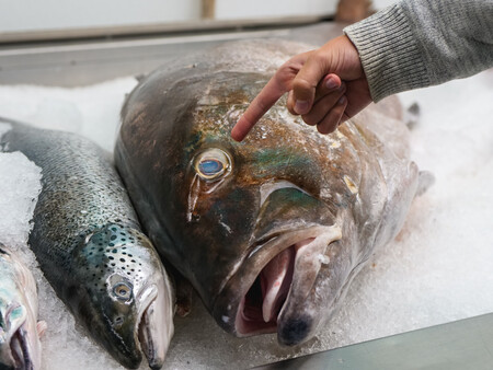 Pescado Mercado