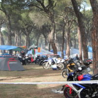 La noticia más esperada para muchos, ¡vuelve Pingüinos a Valladolid en 2017!