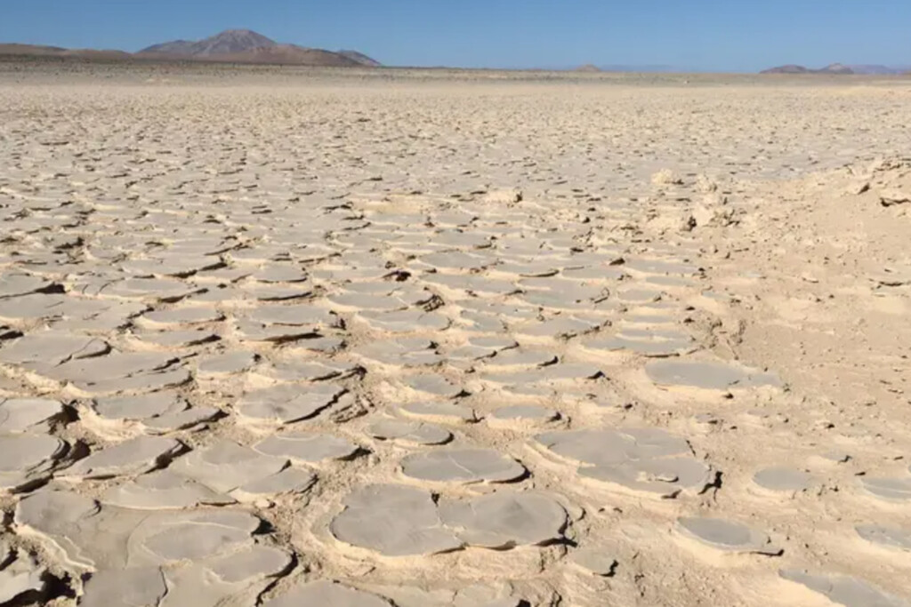 Hemos encontrado una “biosfera oculta” en uno de los lugares más hostiles de nuestro planeta