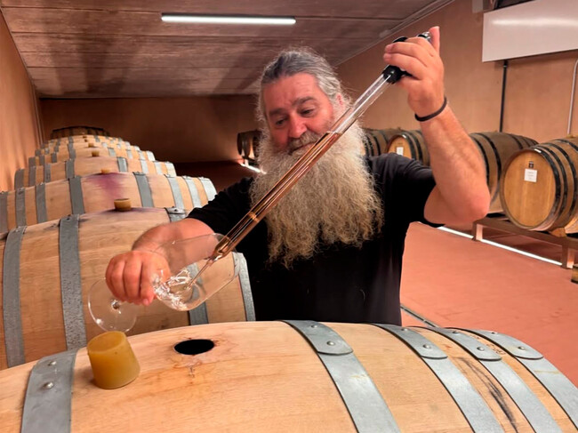 Vino Leon Papa