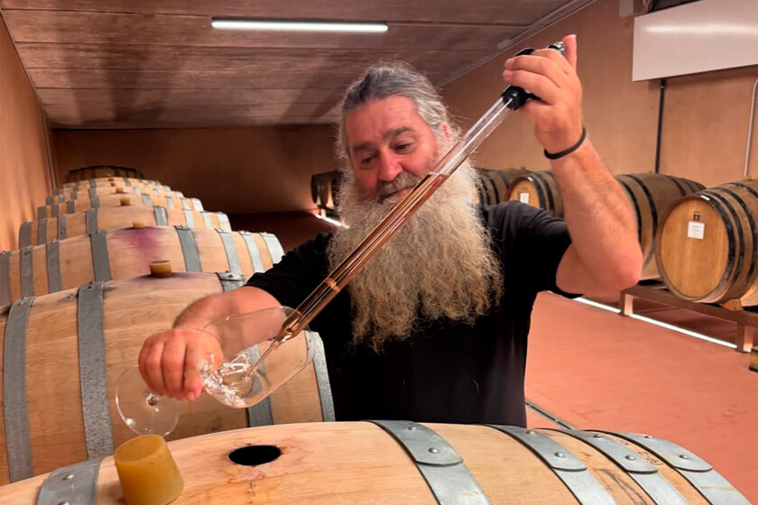 Ni Ribera, ni Rioja: los tres vinos que se sirvieron en la cena arzobispal al papa León XIV eran de León