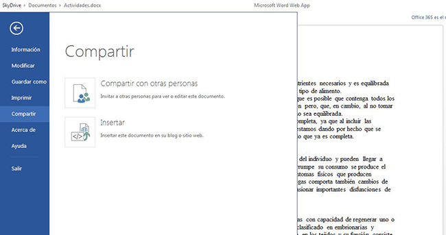 SkyDrive