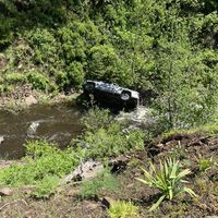 Un perro salva la vida a su dueño tras un accidente: corrió 6 km para avisar de que su coche había caído por un precipicio