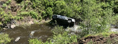 Un perro salva la vida a su dueño tras un accidente: corrió 6 km para avisar de que su coche había caído por un precipicio