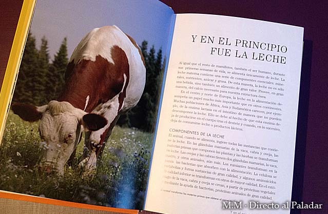 Manual del Gourmet del Queso