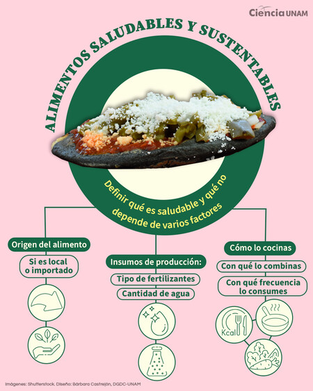 Si vas a comer en la calle, estos son los alimentos que la UNAM recomienda por saludables