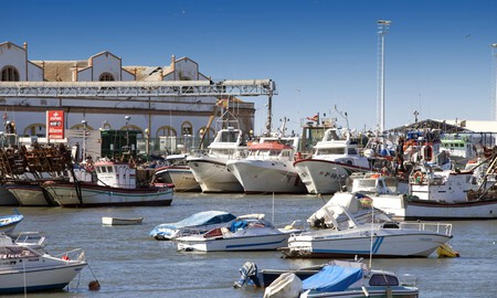 Muelle Scaled