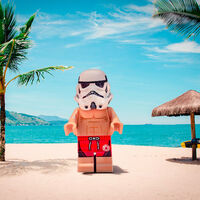 Casi 5 millones de piezas de LEGO cayeron al mar en 1997. Han pasado 29 años y el océano se niega a dejar de devolverlas