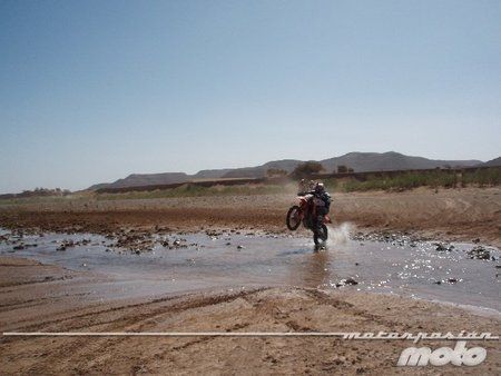 Arturo en el río