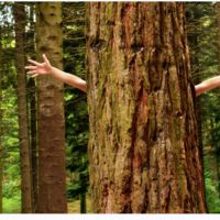 Ciertos comportamientos ecológicos puede que no lo sean 