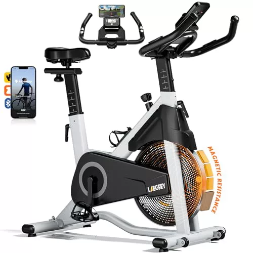 LABGREY Bicicleta Indoor Ejercicio Gym Casa Fitness Bikes Volante 15 KG, Bicicleta Estática Magnética con Bluetooth, Resistencia Ajustable con Pantalla LCD y Monitor de Frecuencia Cardíaca