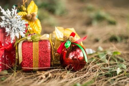 Las ocho actividades navideñas que no debes dejar de hacer