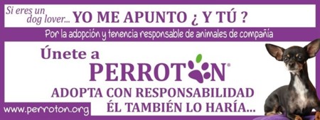 Perrotón 2016: únete a la carrera solidaria por la adopción responsable