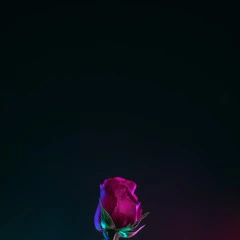 Foto 5 de 15 de la galería fondos-de-flores en Xataka Android