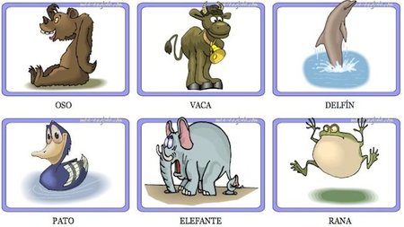 Generador de fichas personalizadas