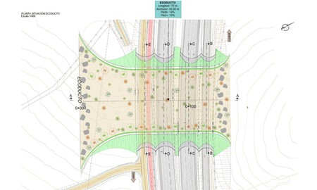 Puente Animales Madrid 2