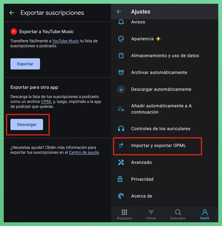 右の画像には、Pocket Casts アプリにサブスクリプションをインポートするオプションが表示されます。