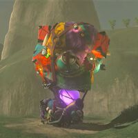 Cómo desbloquear la Tienda de Kilton y la Monstruoteca en Zelda Breath of the Wild 