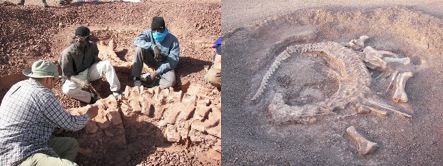 El dinosaurio desconocido de Níger