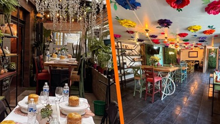 Valentina Café: Así es la cafetería dentro de un vivero que puedes visitar en Toluca