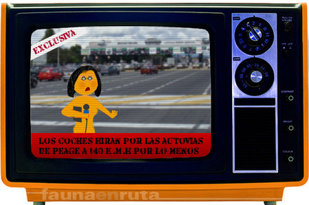 fauna en ruta: Periodismo y Seguridad Vial