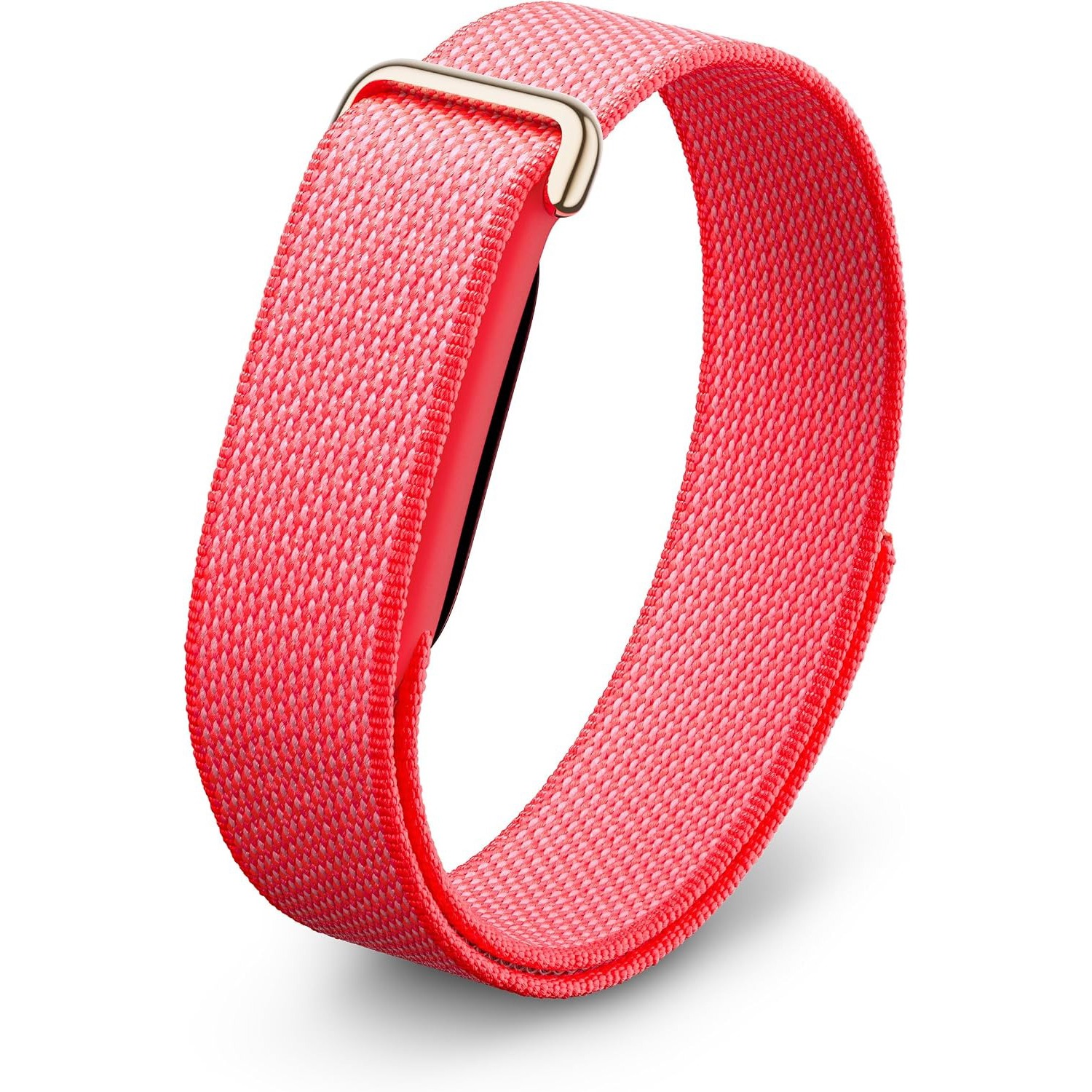 Google Fitbit Air