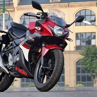 Suzuki GSX-R 250, lista para correr en Supersport 300 en 2017