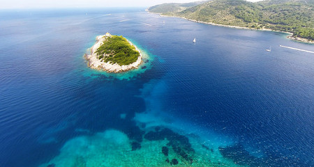 Vis