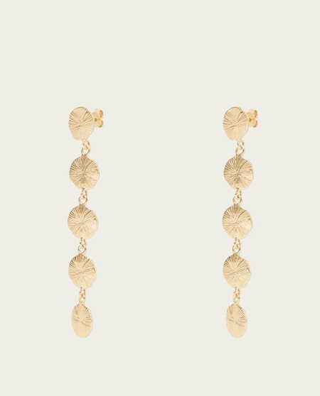 Long Earrings With Plate Detail